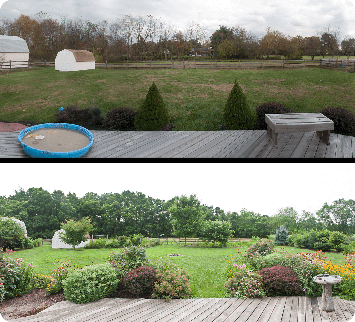 Backyard transformation from barren to lush garden.