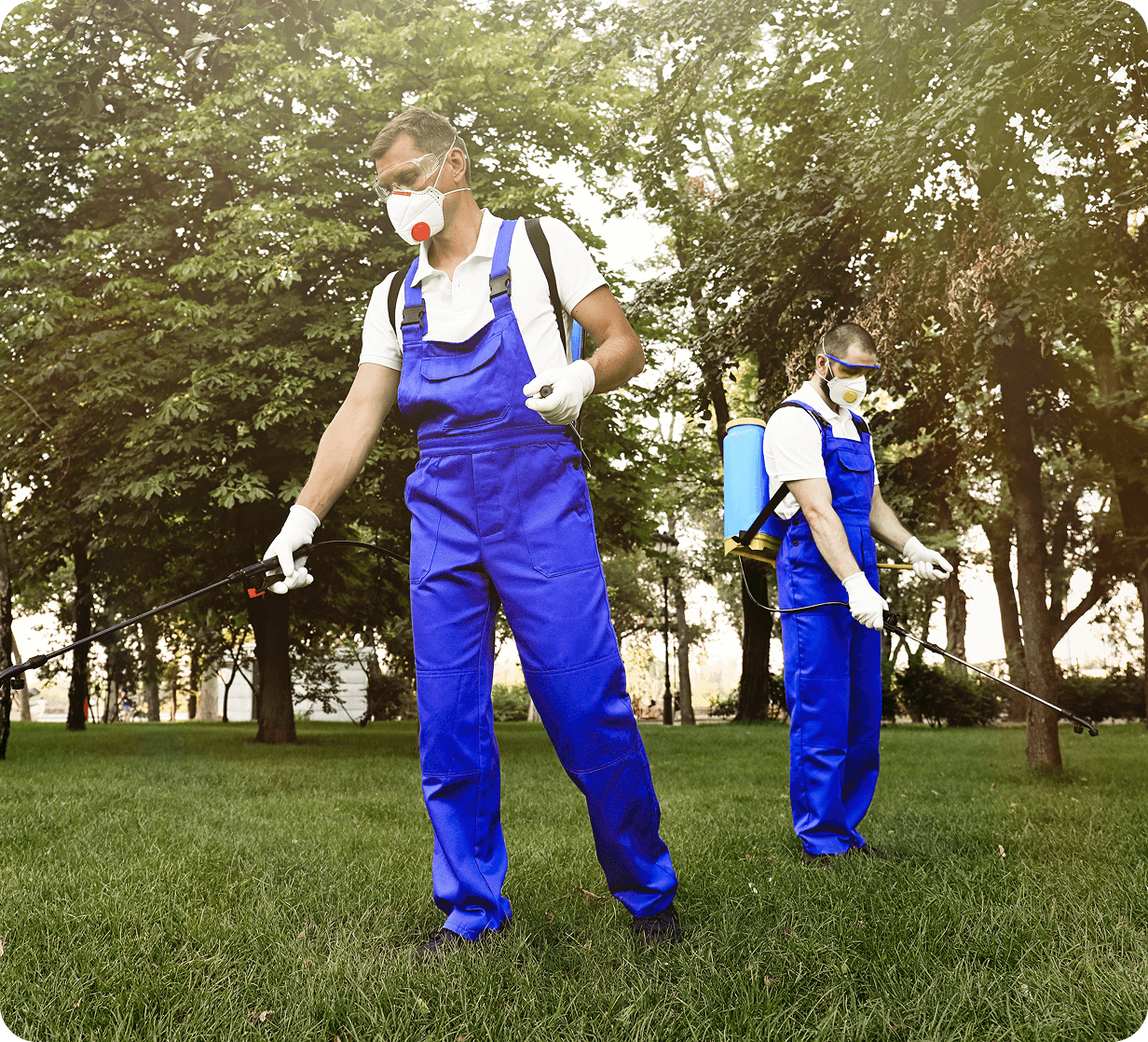 Workers spraying pesticides in a grassy area.