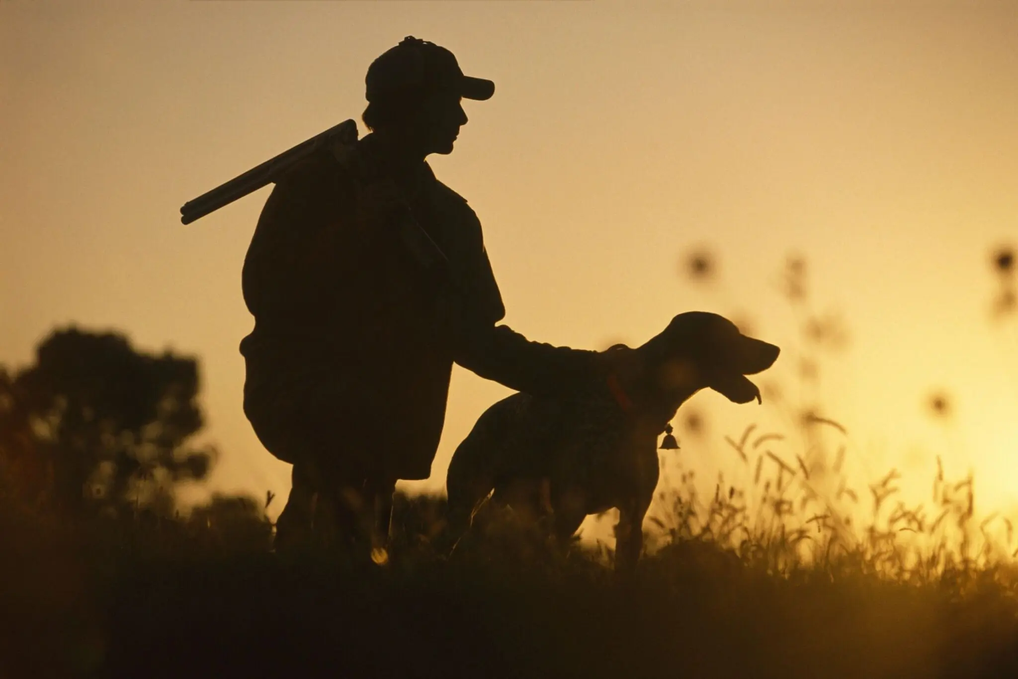 fm=f_8646 Silhouetted hunter and dog at sunset.